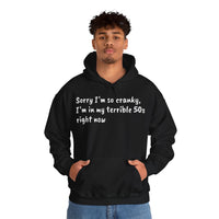 Terrible 50s Hooded Sweatshirt Printify