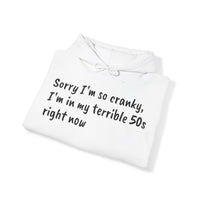 Terrible 50s Hooded Sweatshirt Printify