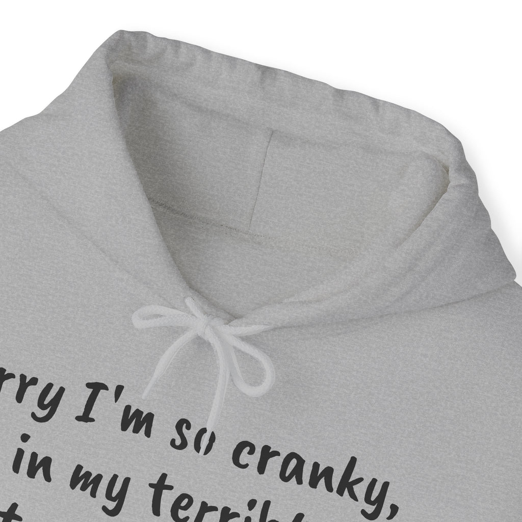 Terrible 50s Hooded Sweatshirt Printify