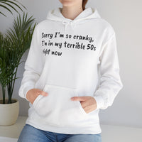 Terrible 50s Hooded Sweatshirt Printify