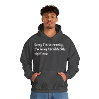 Terrible 50s Hooded Sweatshirt Printify