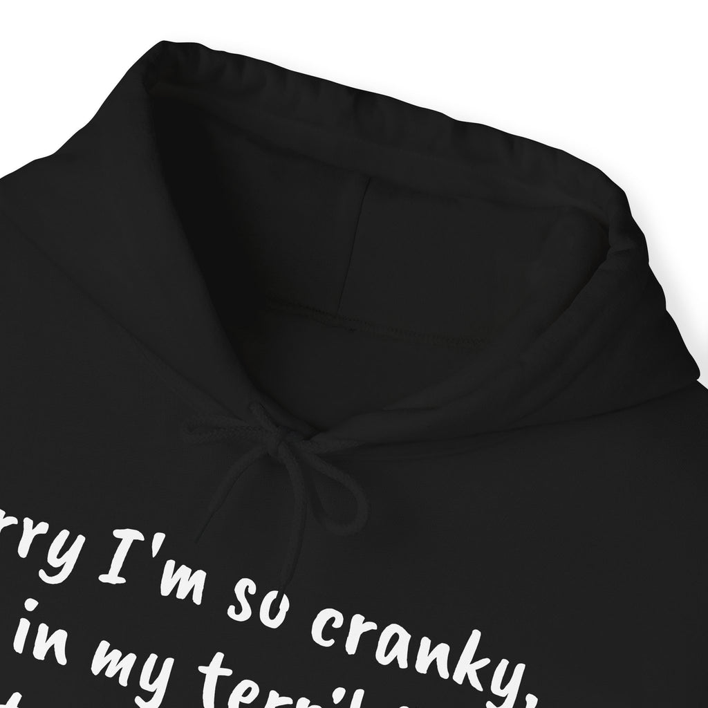 Terrible 50s Hooded Sweatshirt Printify