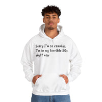 Terrible 50s Hooded Sweatshirt Printify