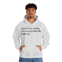 Terrible 50s Hooded Sweatshirt Printify