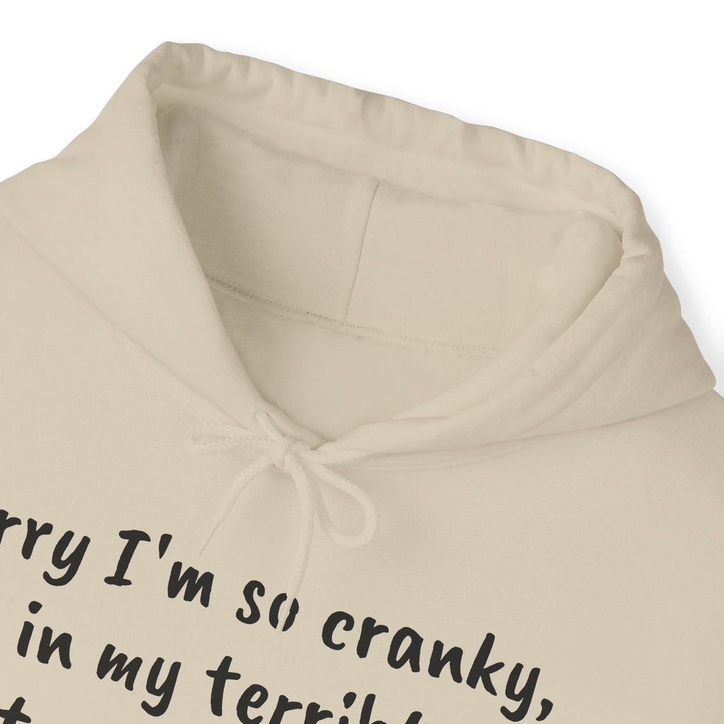 Terrible 50s Hooded Sweatshirt Printify