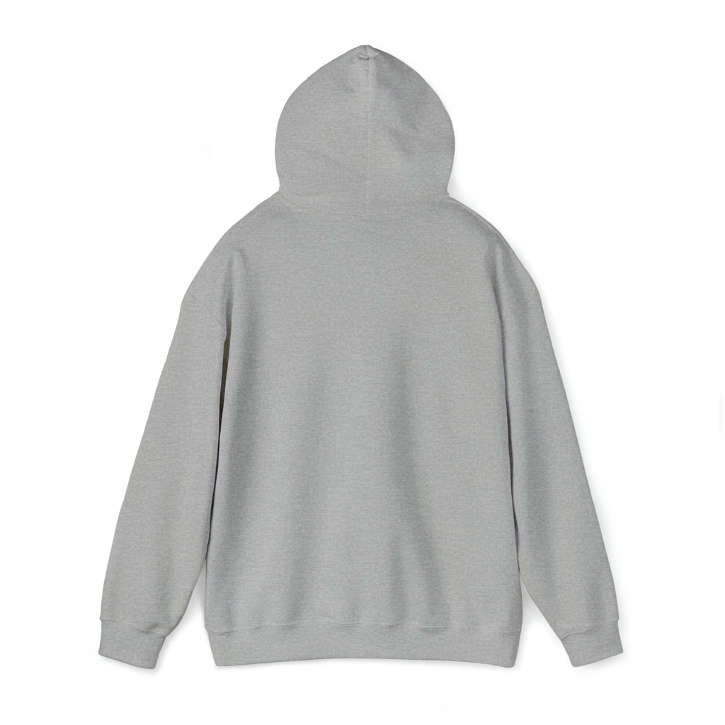 Let It Snow™ Hooded Sweatshirt Printify