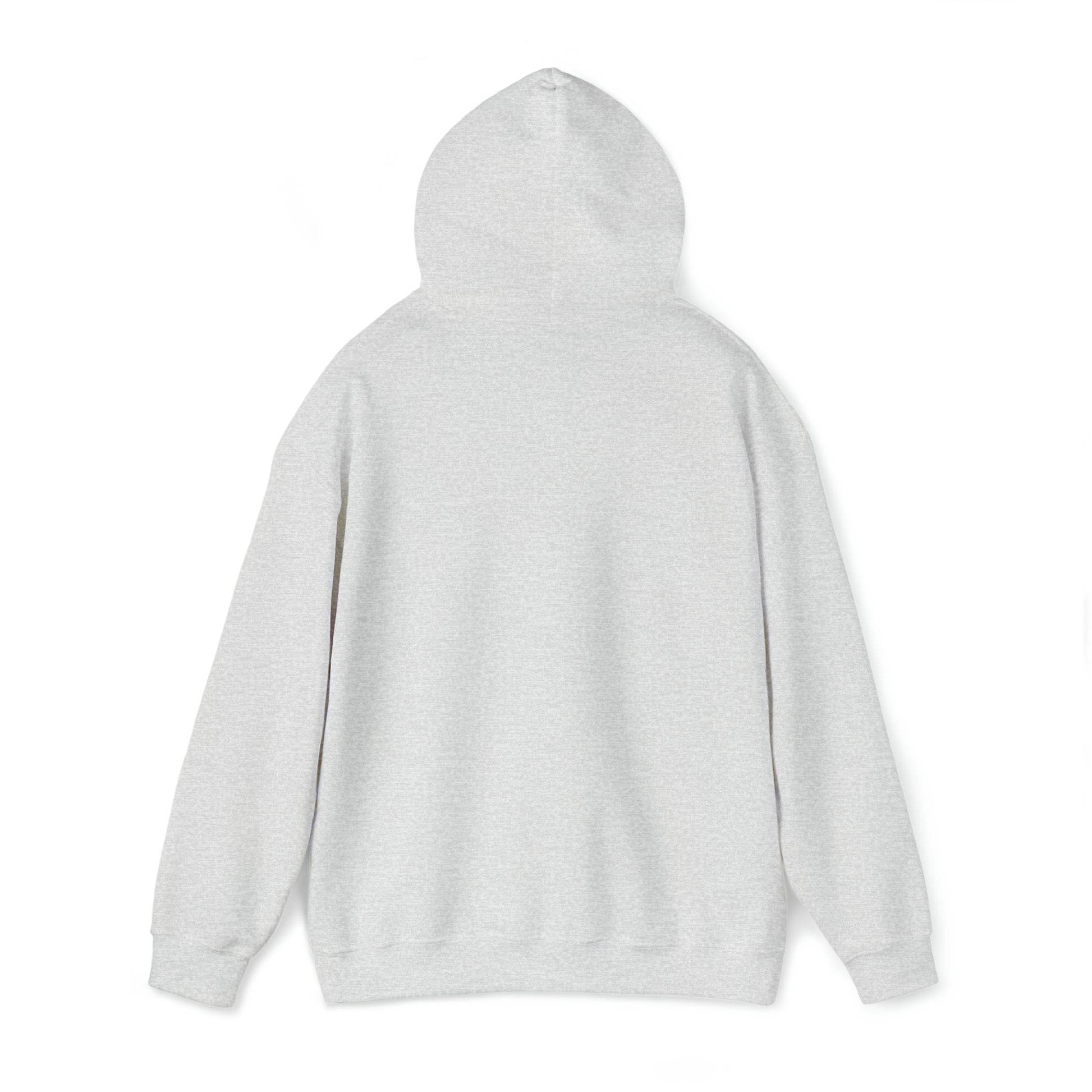 Let It Snow™ Hooded Sweatshirt Printify