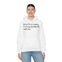 Terrible 50s Hooded Sweatshirt Printify